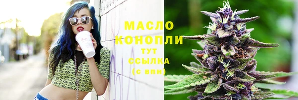 дмт Алексин