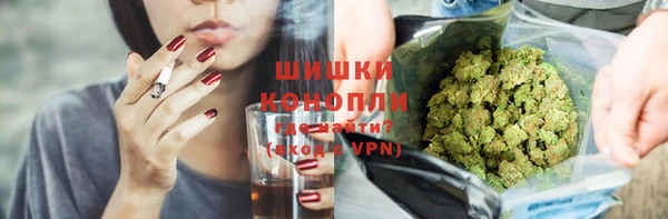 дмт Алзамай