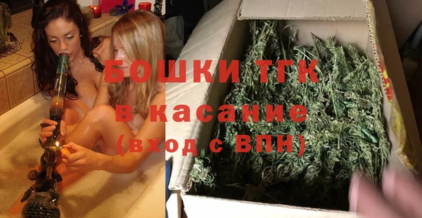 дмт Алексин