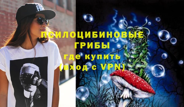 дмт Алзамай