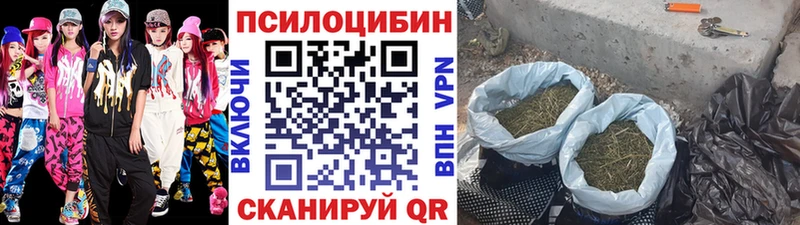 Галлюциногенные грибы GOLDEN TEACHER  Болхов 